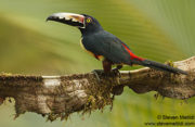 COSTA RICA